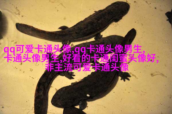 青春美少女图片头像(优选18张)