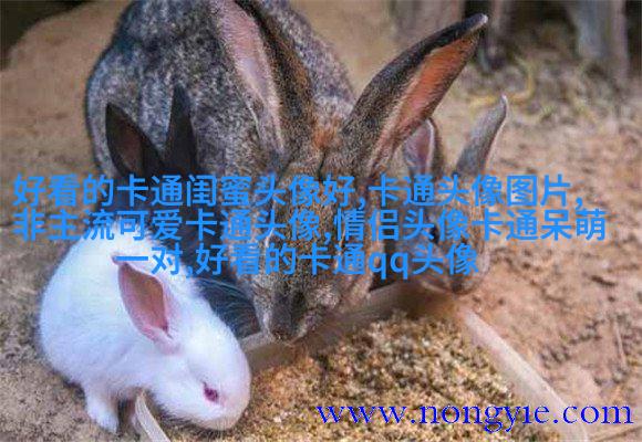 闺蜜头像一对两张(精选16张)
