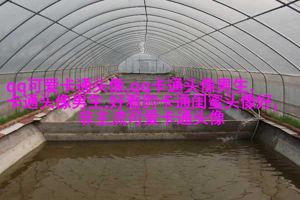青春美少女图片头像(优选18张)
