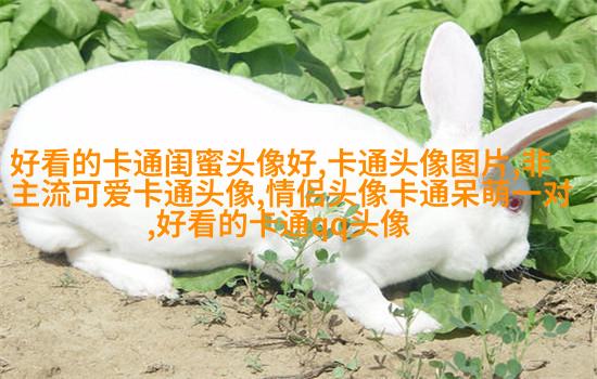 闺蜜头像一对两张(精选16张)