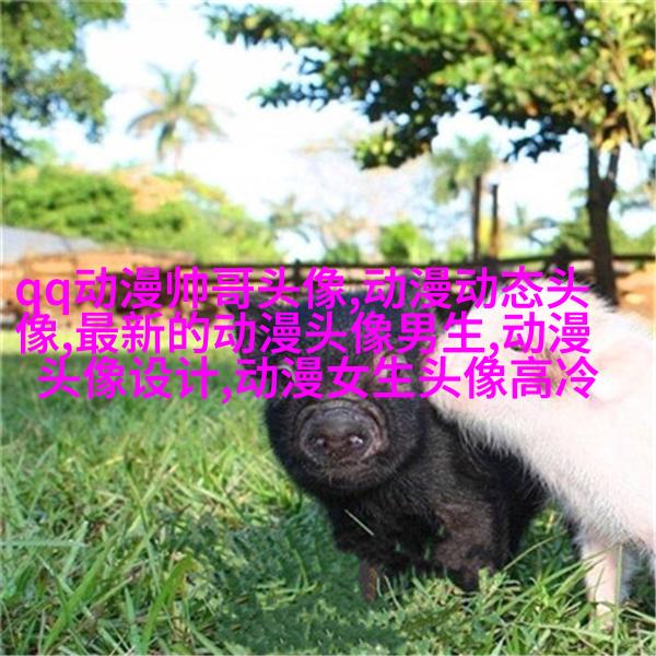高清好看的个性独立漫画女生头像图片大全(共24张)