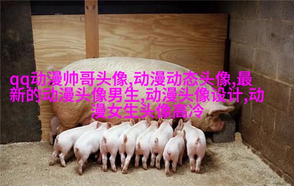 高清好看的个性独立漫画女生头像图片大全(共24张)