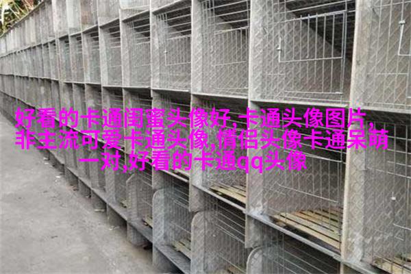 闺蜜头像一对两张(精选16张)